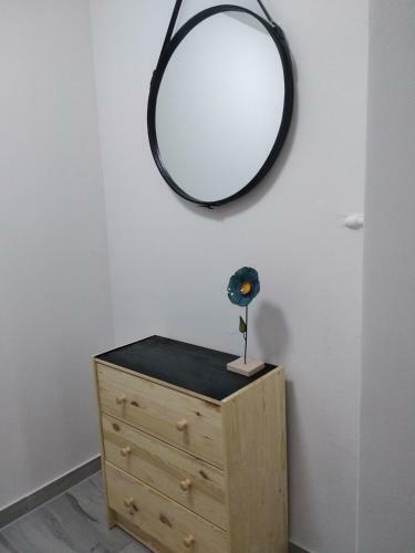 Apartamenty Harmonica