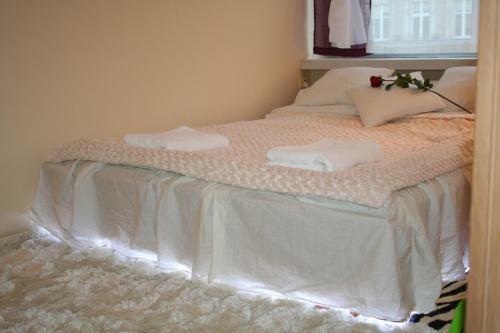 Apartament Centrum 3 Pokojowy