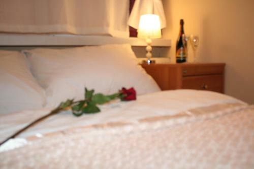 Apartament Centrum 3 Pokojowy