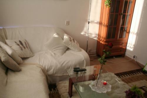 Apartament Centrum 3 Pokojowy