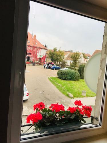 Apartamento Mrongowiusza 3