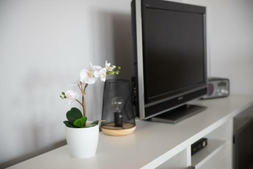 Apartament Czarna Wie?