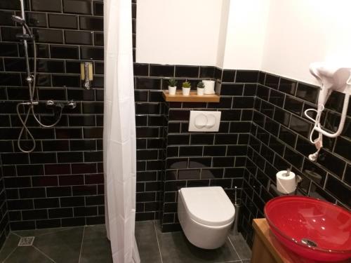 Apartamento Willa Sudecka