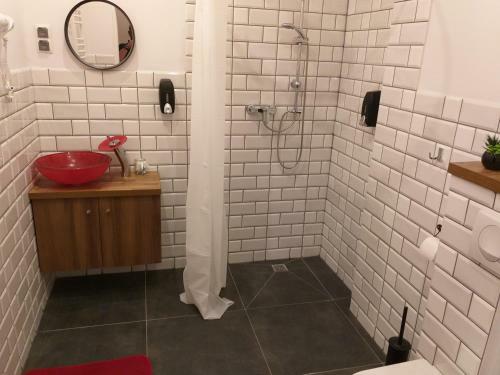 Apartamento Willa Sudecka