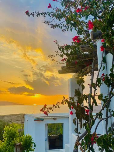 Apartamento Iliovasilema Studios Koufonisia