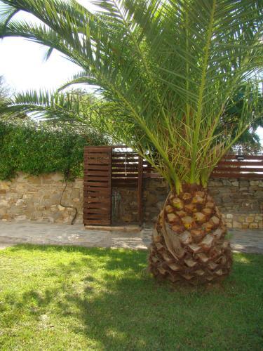 Apartamento Vour 52