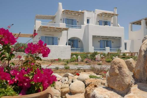 Apartamento Annio Studios