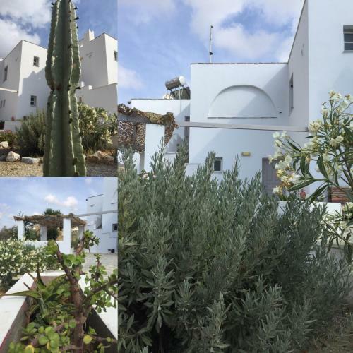 Apartamento Studio Loukas