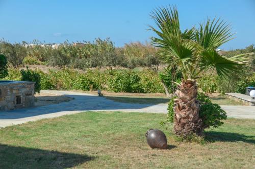 Apartamento Mare Monte Studios
