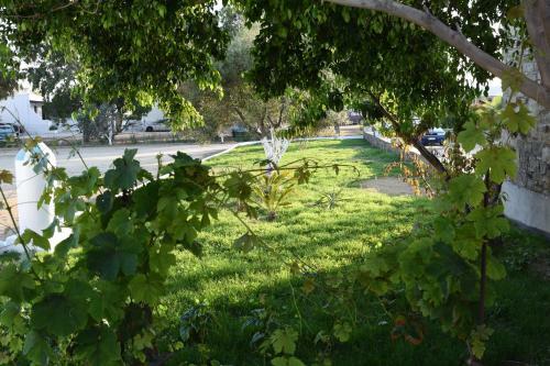 Hotel Keti Kapri
