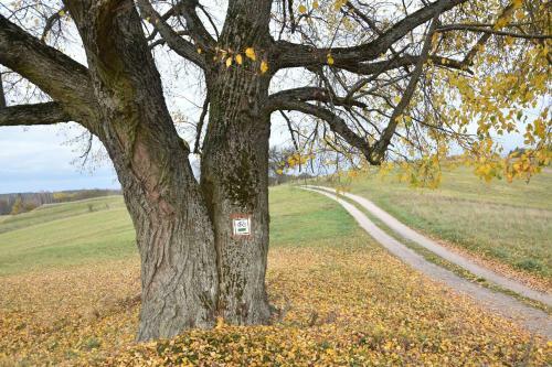 Apartamento Wigierski Park Narodowy