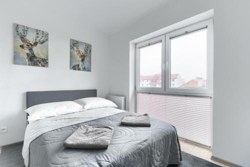 Toress Apartamenty Economy