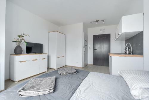 Toress Apartamenty Economy