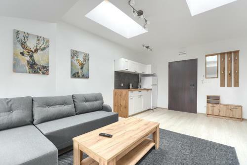 Toress Apartamenty Economy