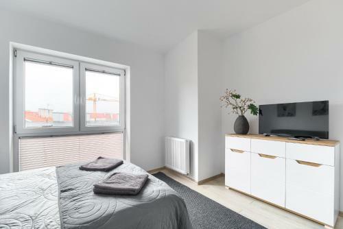 Toress Apartamenty Economy