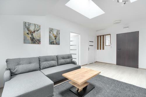 Toress Apartamenty Economy