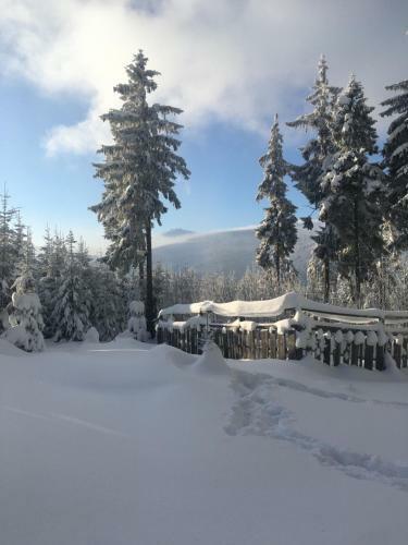 Villa La Val, Apartamenty Wa?brzych