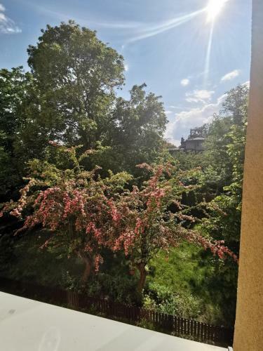 Apartament Mickiewicza