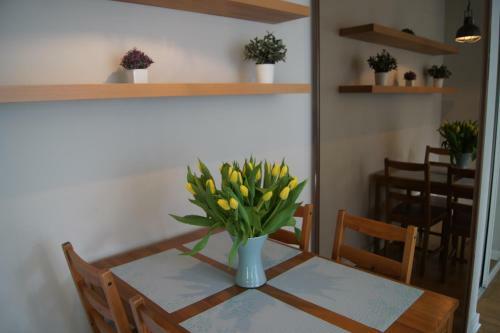Apartamento Freedom In The City