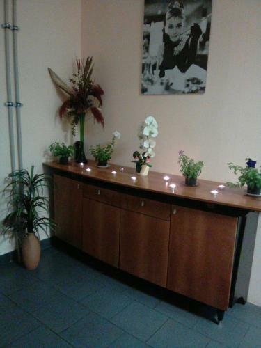 Albergue Poplawok