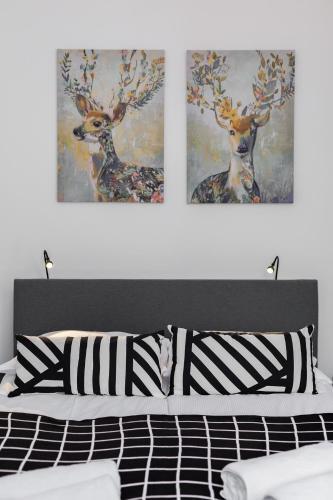 First Central Apartments By Renters