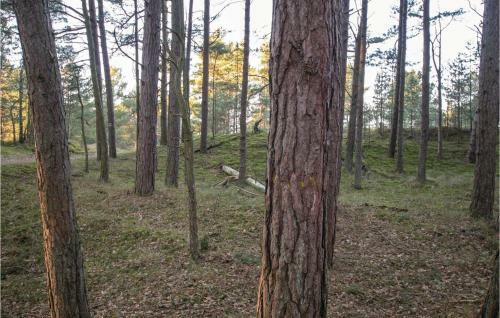 Holiday Home Wicko Sarbsk