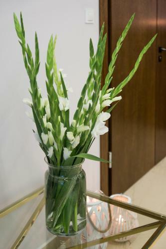 Hotel Stella Resort & Spa