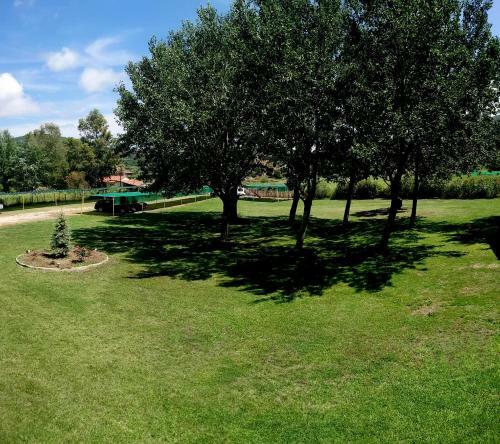 Apartamentos Chrissi Ammoudia
