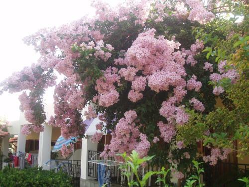 Apartamento House Evristhenis 1