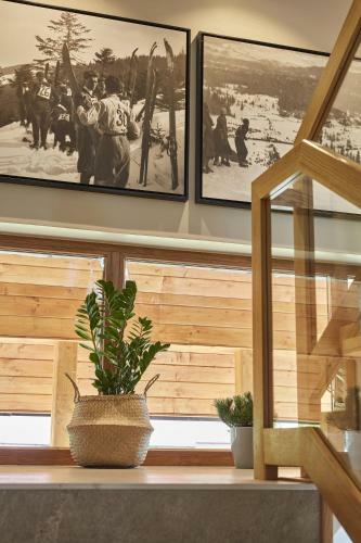 Anta?�wka Apartments Zakopane