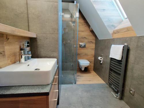 Apartamento Willa Kozinc�wka