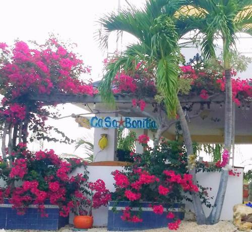 Posada Casa Bonita Inn