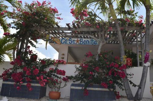 Posada Casa Bonita Inn