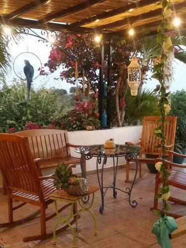 Posada Casa Bonita Inn