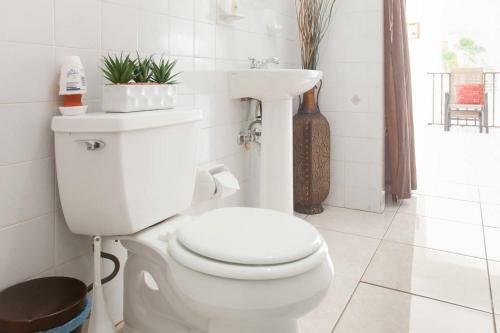 Apartamento Studio With Pool Table Just 15 Minutes From The Beach