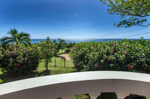Hotel Hacienda Tamarindo