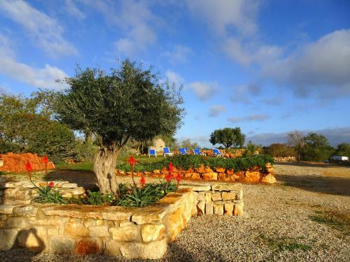 Villa Gold Cip