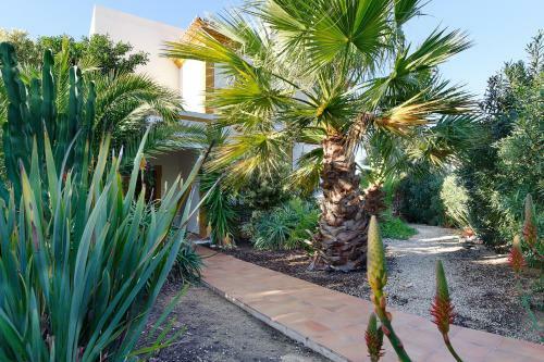 Villa Ocre
