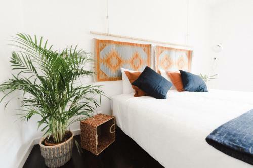Albergue Surf Cascais - Surf Villa