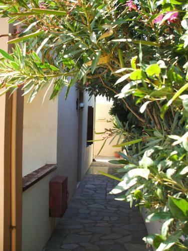 Eriki Studios & Apartments