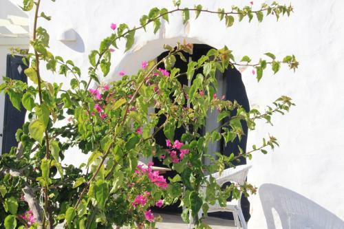 Apartamento Porto Paradiso