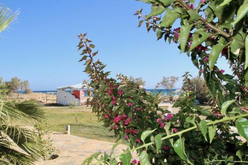 Apartamento Porto Paradiso