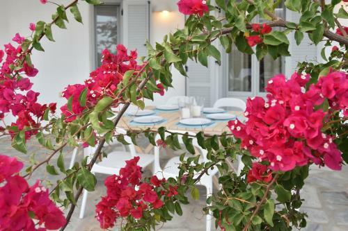 Aspro Villas