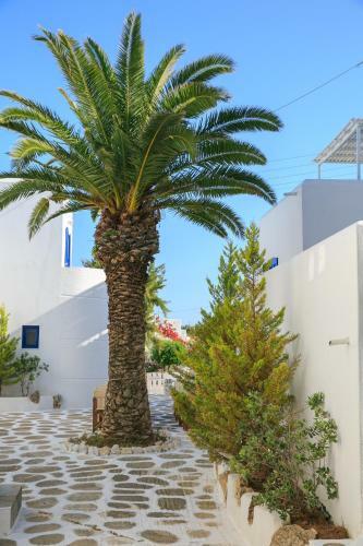 Nicos Studios & Apartments
