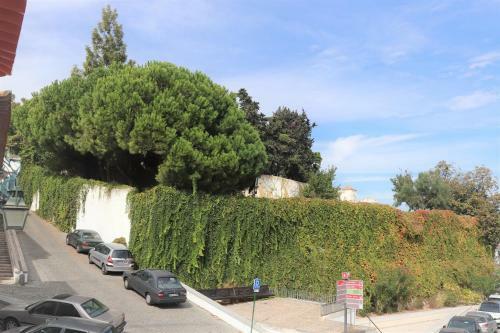 Apartamento Casa Gil Vicente
