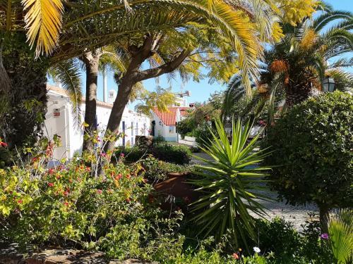 Apartamento Algarent Quinta Velha Jolie 11