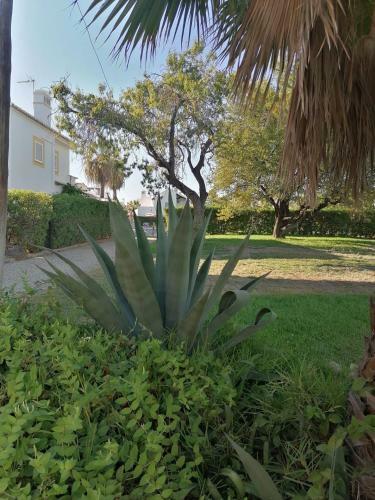 Apartamento Quinta Velha Cabanas de Tavira Jolie 208 By Algarent