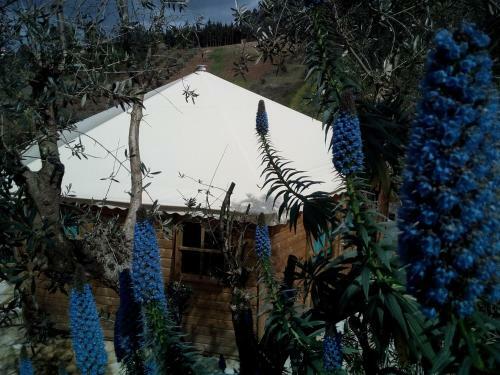 Glamping With Pool Near Caldas&peniche
