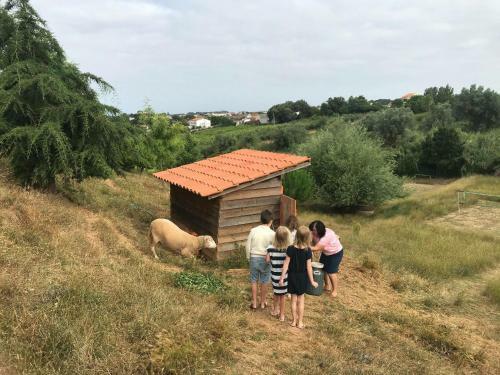 Glamping With Pool Near Caldas&peniche