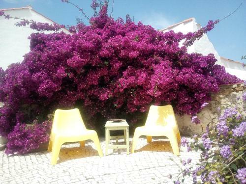 Apartamento Great Farmhouse Studio Pool Caldas&peniche